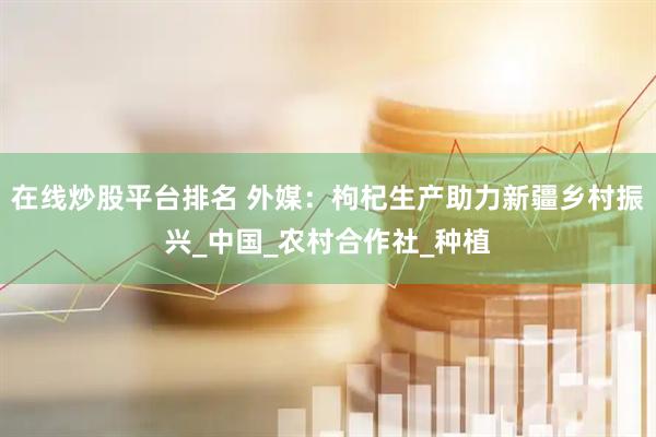 在线炒股平台排名 外媒：枸杞生产助力新疆乡村振兴_中国_农村合作社_种植